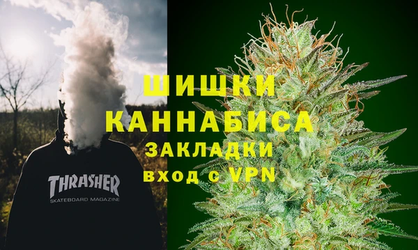 прущий лед Бикин