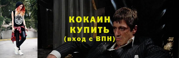 mdpv Няндома