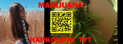 jwh Бийск
