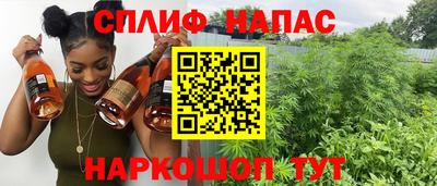 jwh Бийск