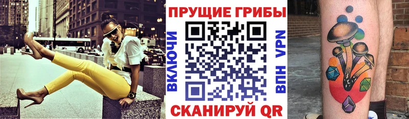 мега как зайти Гурьевск Псилоцибиновые грибы мухоморы