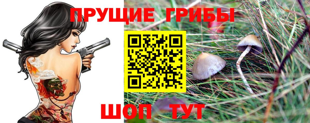 Псилоцибиновые грибы GOLDEN TEACHER Гурьевск