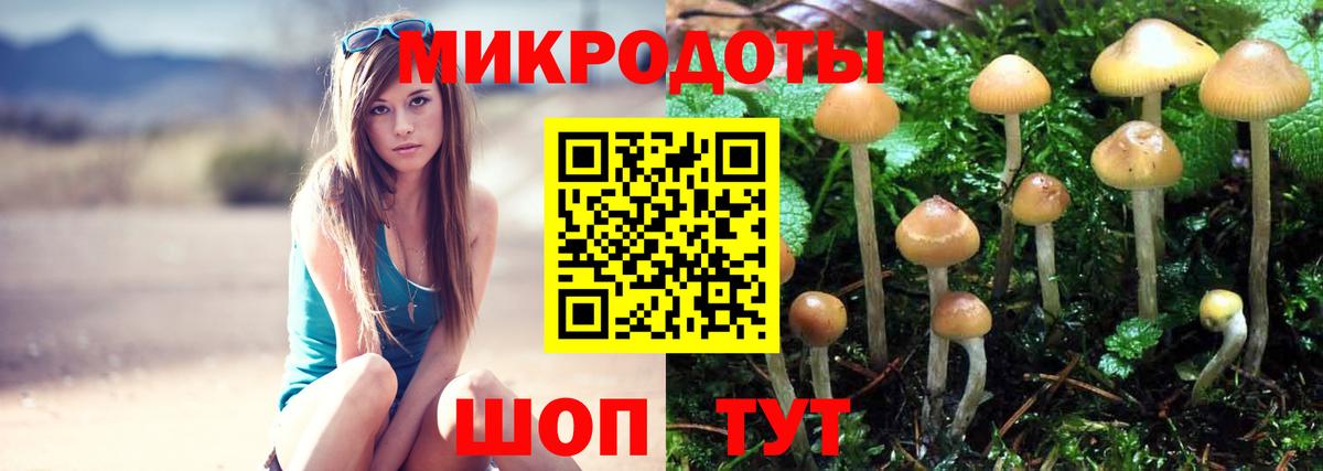 Галлюциногенные грибы Psilocybine cubensis  Вход с VPN  Гурьевск  Псилоцибиновые грибы ЛСД 