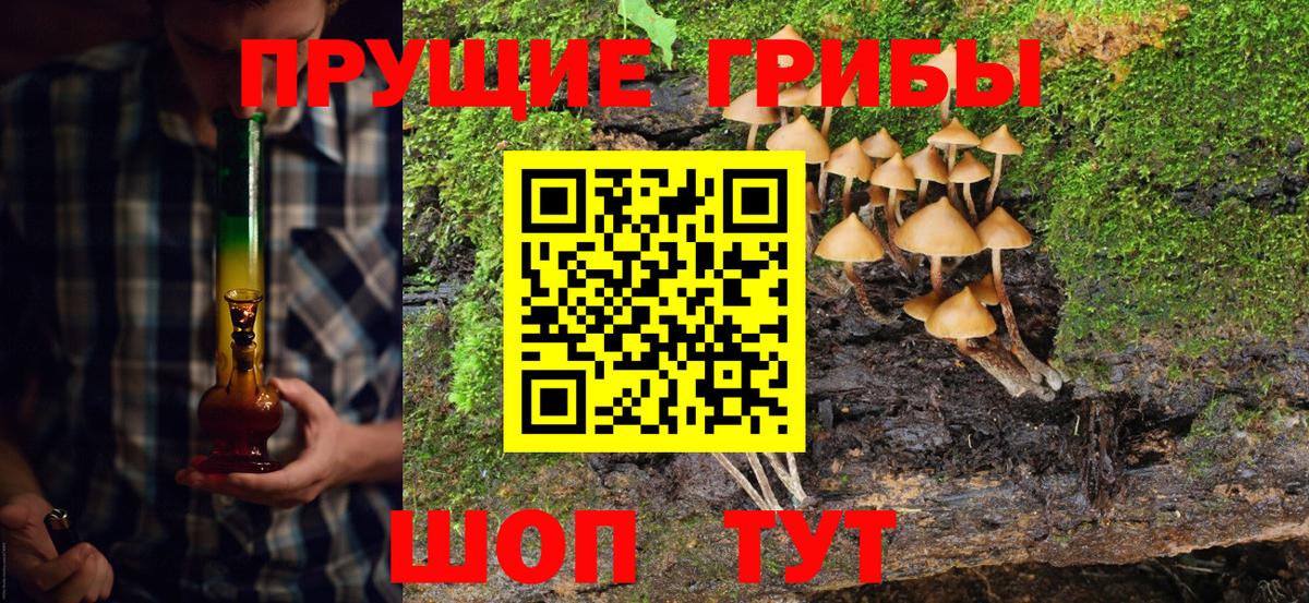 Галлюциногенные грибы Cubensis Гурьевск