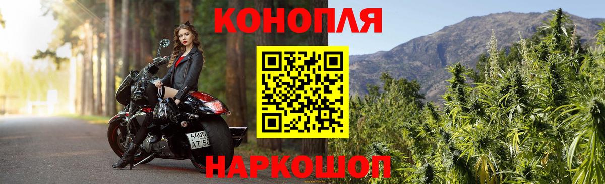 Бошки Шишки план  Канабис AK-47  Канабис марихуана  Гурьевск  Марихуана ГИДРОПОН 