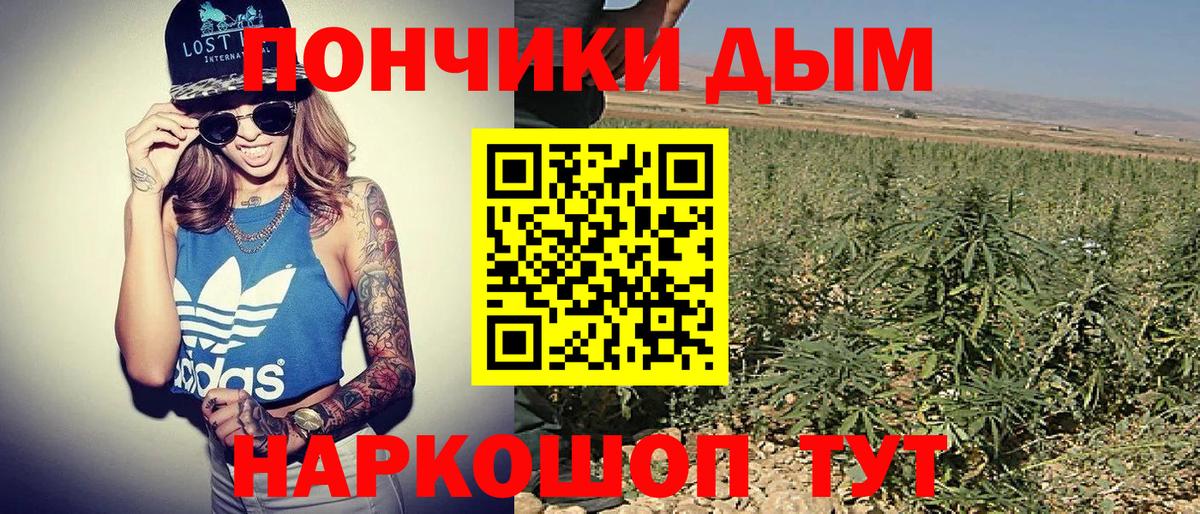 Каннабис план Гурьевск