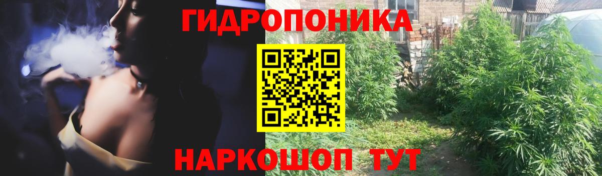 Каннабис ГИДРОПОН  Каннабис THC 21%  Вход с VPN  Конопля марихуана  Гурьевск 